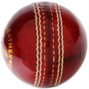 Dixon Leather Cricket Ball - Image 2