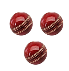 Dixon Leather Cricket Ball - Image 3