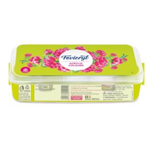 Fevicryl Acrylic 6 Colours Sunflower Kit
