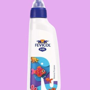 Fevicol White Glue 200 gm